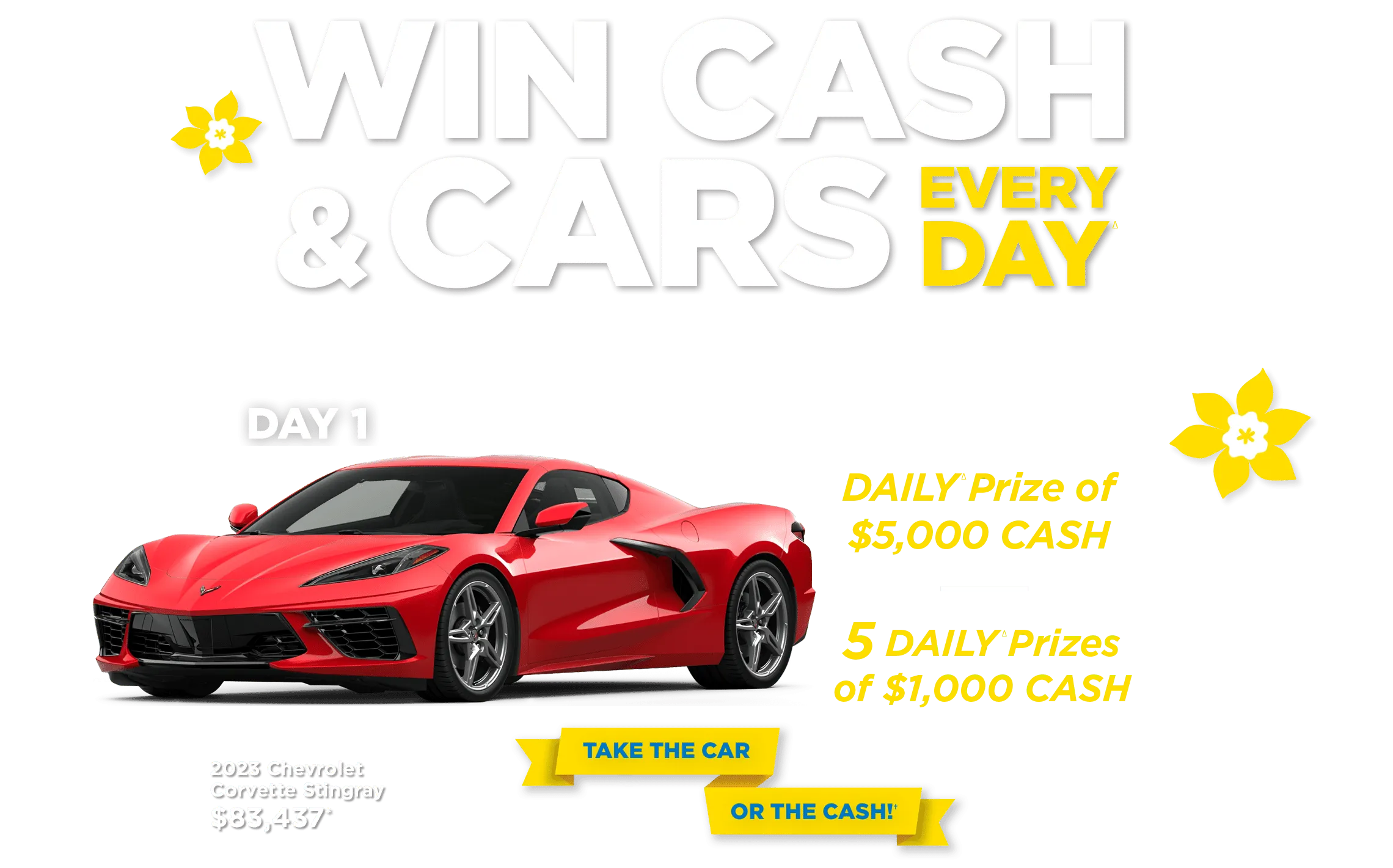 Win Cash and Cars Every Day